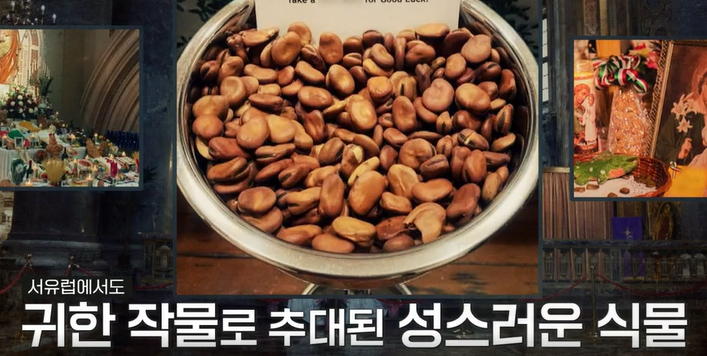 파바빈이란