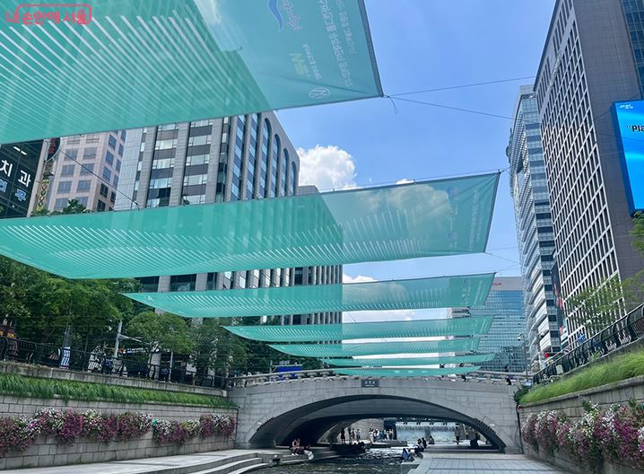 청계천 반딧불이 체험 바로가기 ▶▶ (청계천 여름 프로젝트 반딧불이)