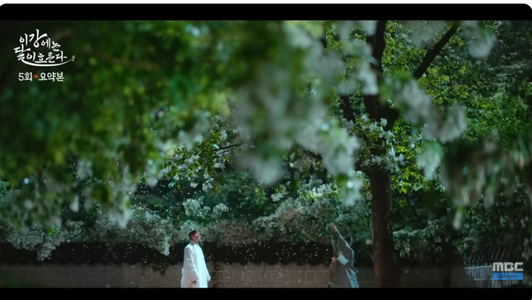 이강에는 달이 흐른다 5회 꽃잎 흩날리는 장면