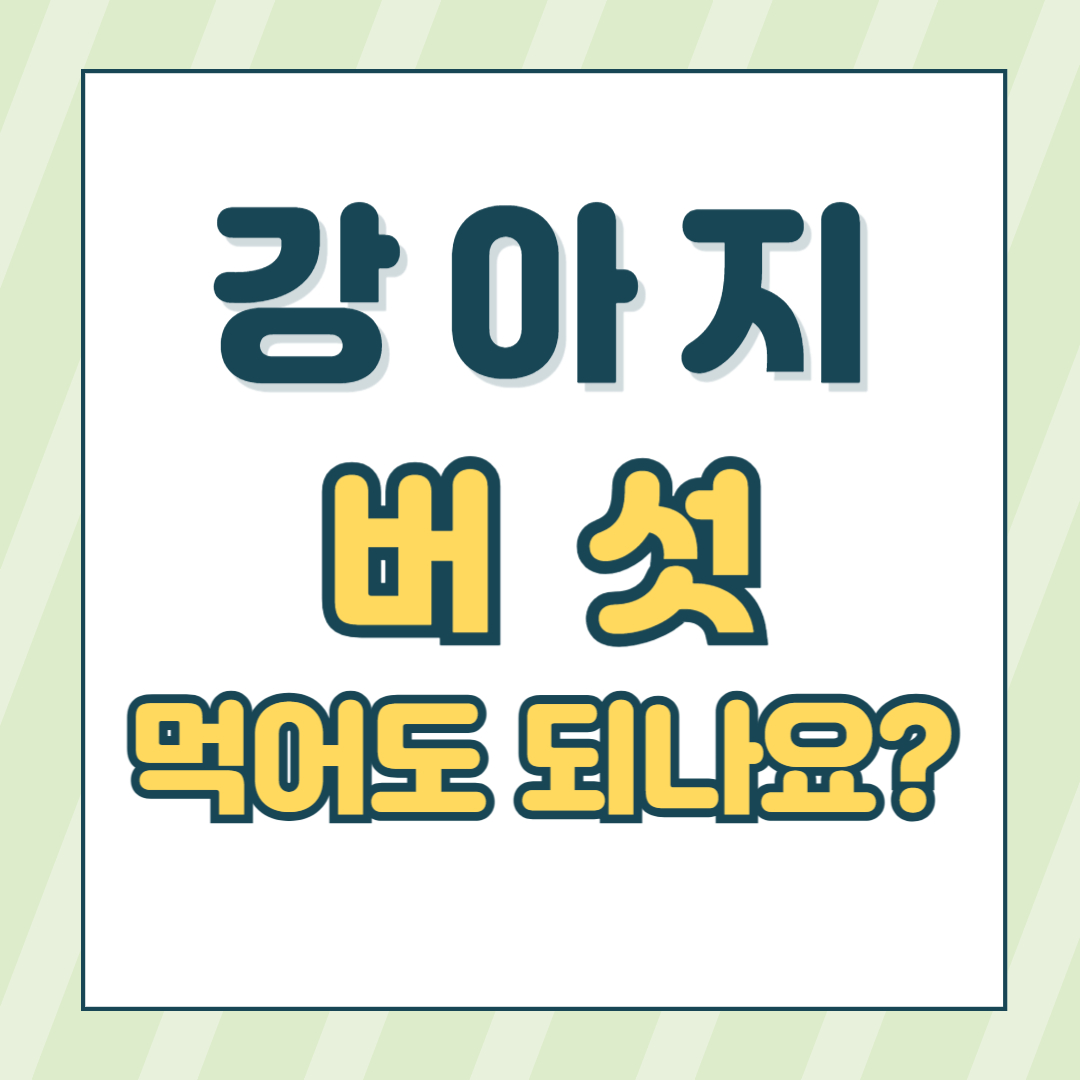 강아지 버섯