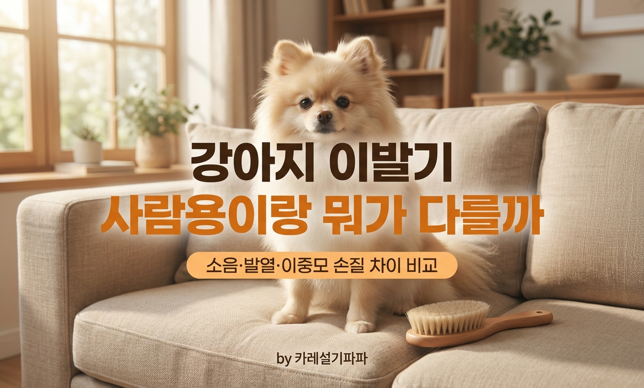 소파에서 빗질하는 포메라니안