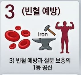 비트 효능
