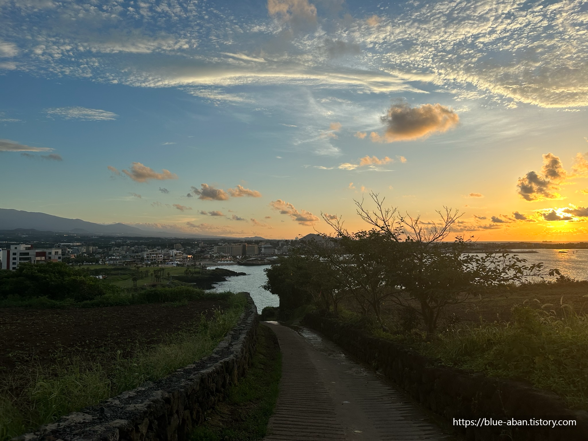 함덕 서우봉 중턱에서 해수욕장을 바라본 모습