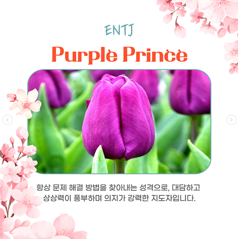 태안 세계튤립꽃박람회 운영시간