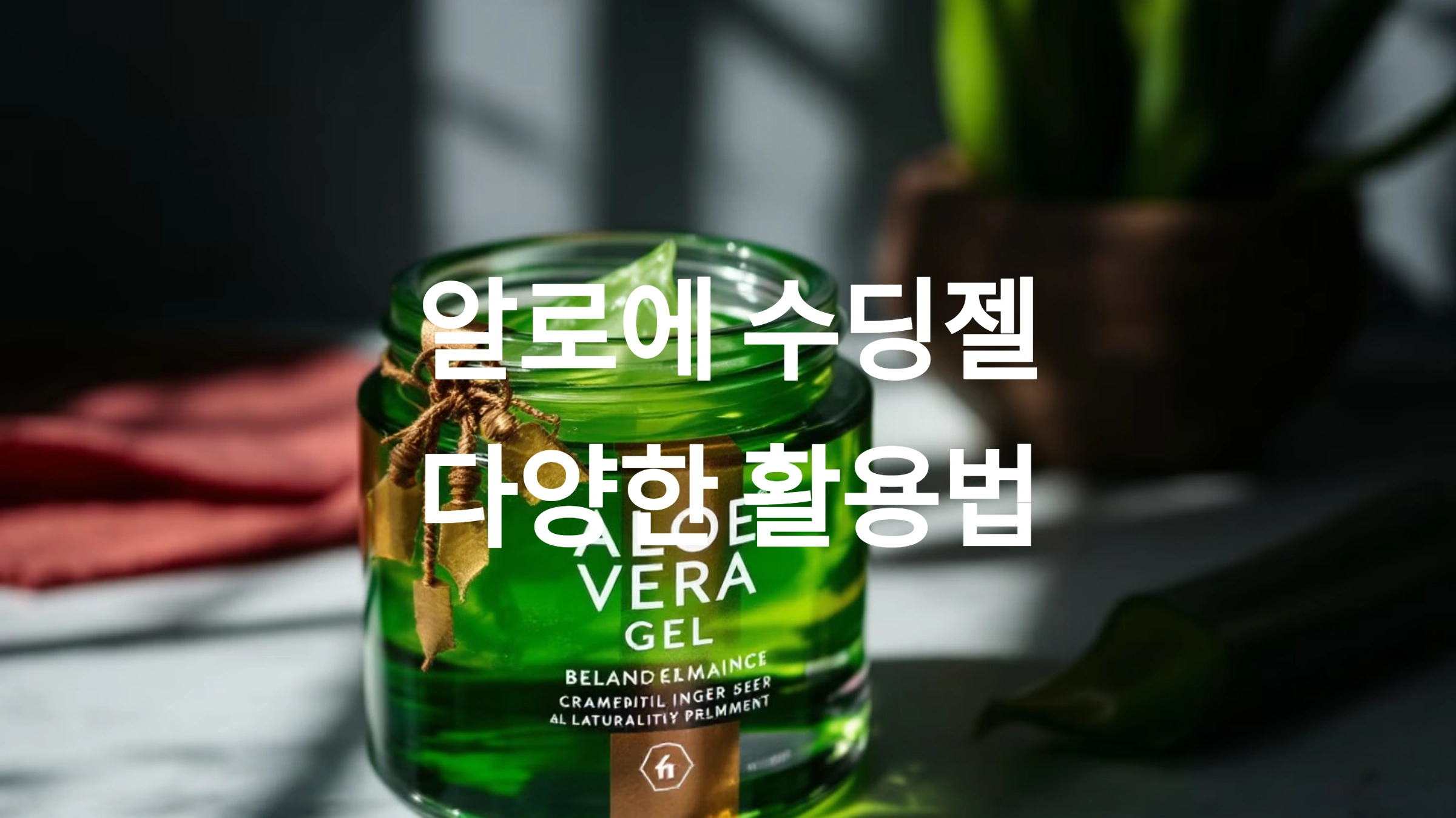 알로에 수딩젤의 다양한 활용과 효과적인 사용법