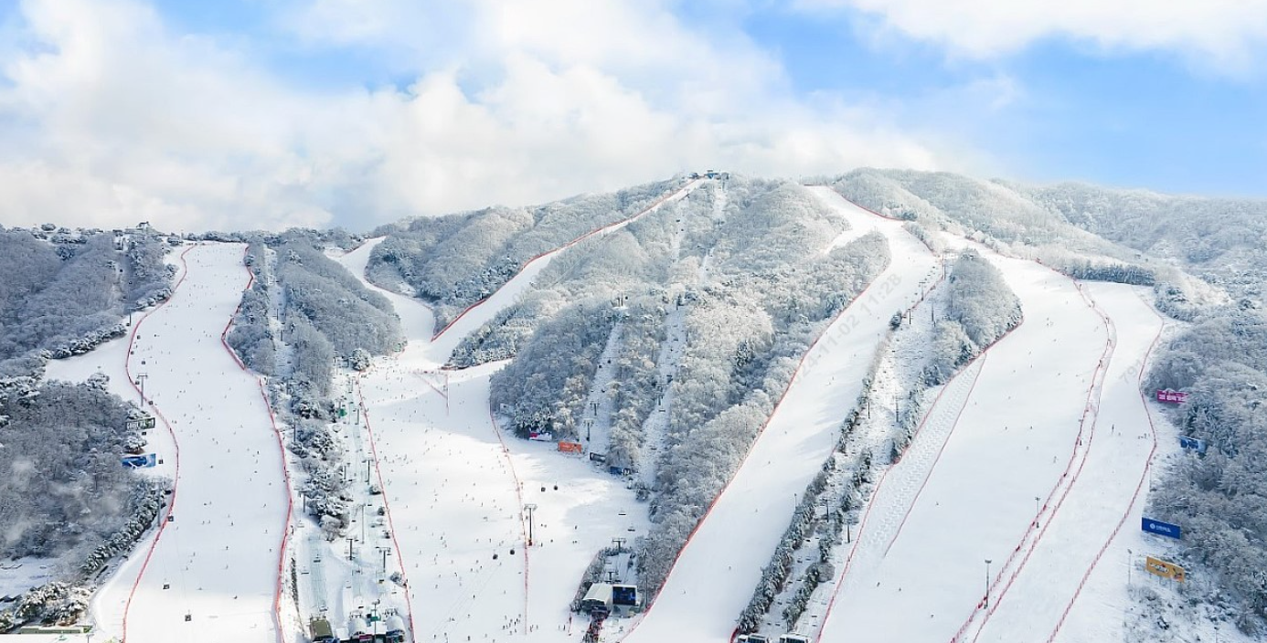 비발디파크 사진