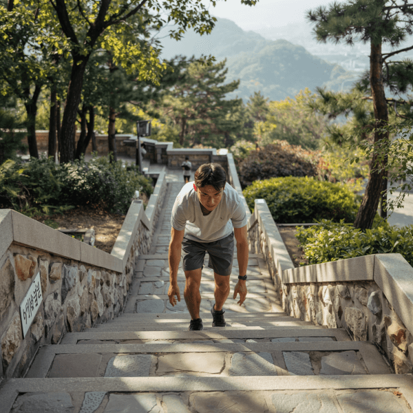 내장 지방 빼는 운동 BEST 5