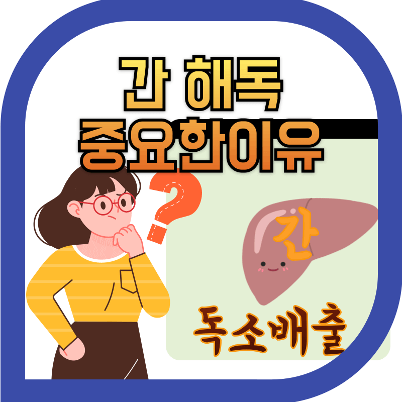 간 해독의 이해를 위한 간 이미지