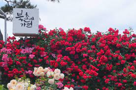 관련 여행지 사진이미지