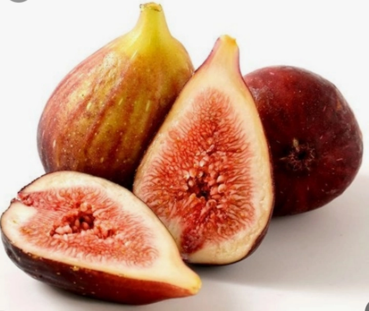 무화과-사진