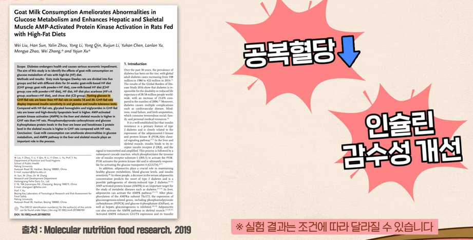 산양유 단백질 효능