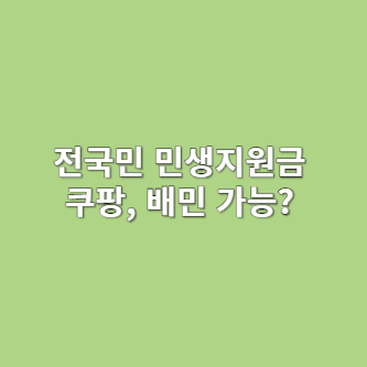 전국민 민생지원금