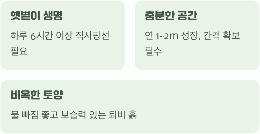 가장 중요한 첫 단추, '심는 장소'