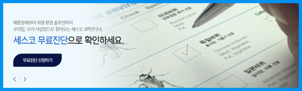 세스코-가정집-가격