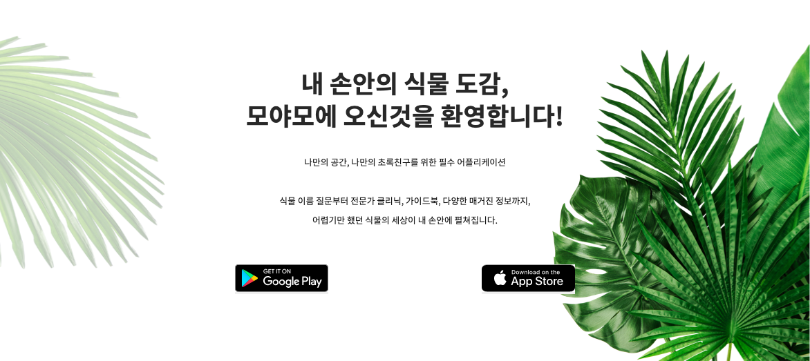 단 한 번의 촬영으로 식물 박사 되기! 🌱 쉽고 빠른 식물 이름 찾기 앱 총정리 (2025최신 &amp; 꿀팁 가득)