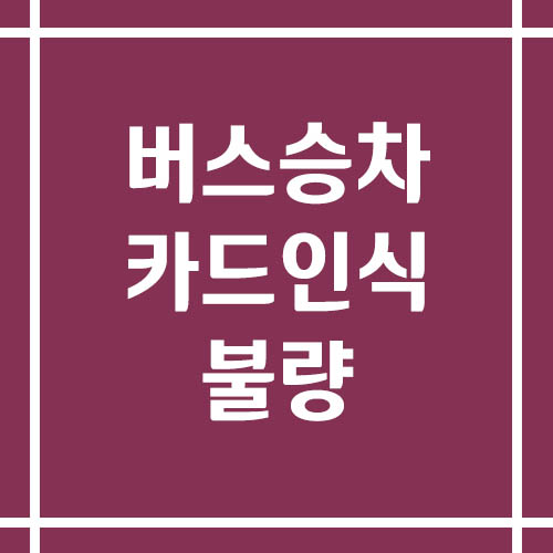 버스 승차 시 카드 인식 안 될 때 해결 방법