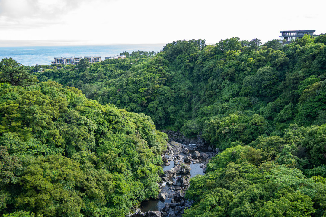 중문 천제연 선임교