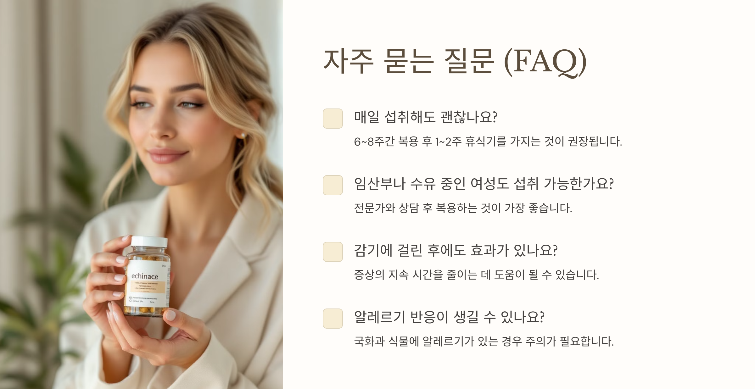 에키네시아꽃-사진