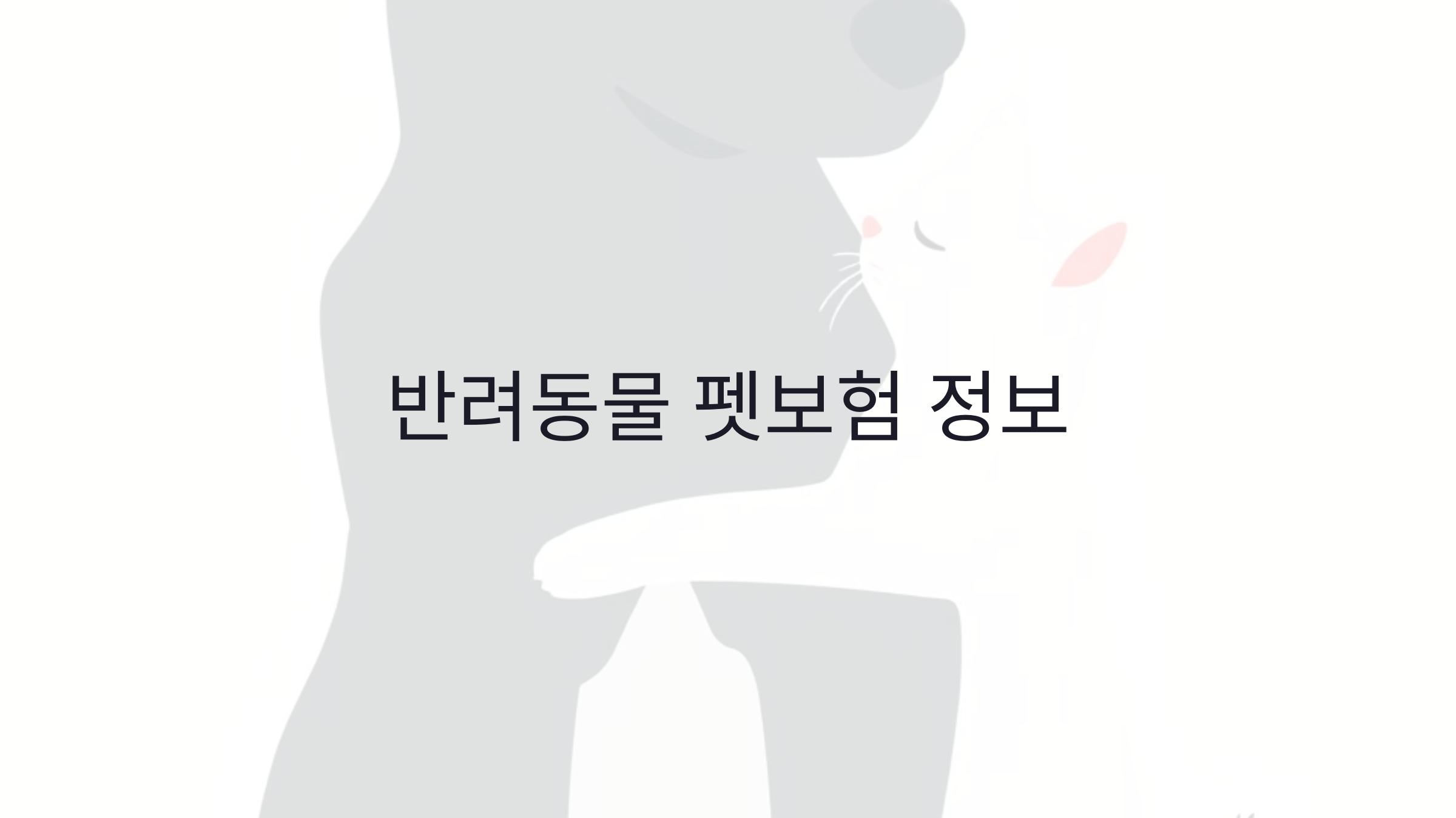 반려동물 펫보험 정보 배상책임·예방접종·보험 환불까지