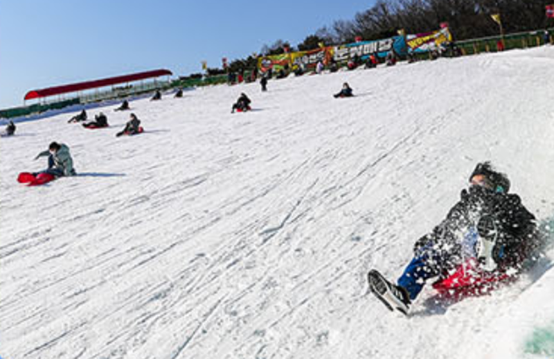 서울랜드 눈썰매장