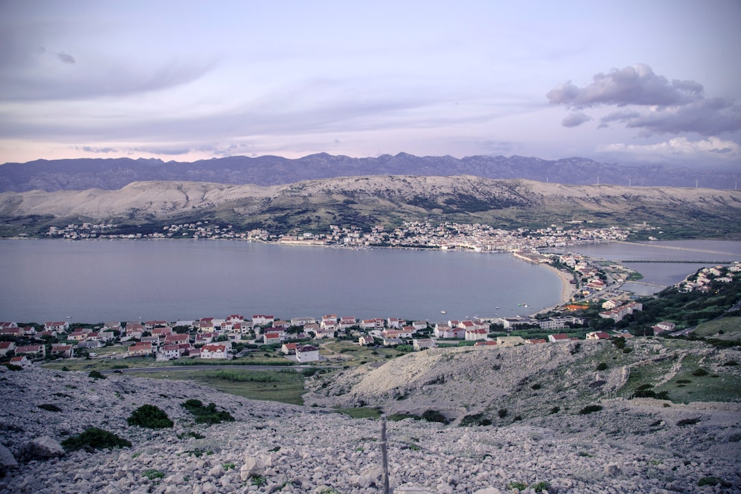 Wando Port