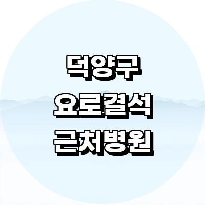 고양 덕양구 요로결석 병원