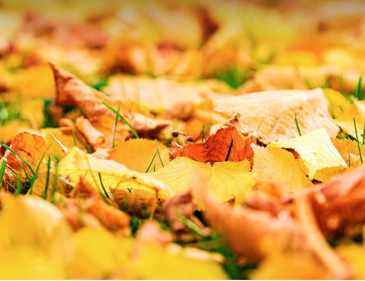 가을 초등학생 코디관련 사진