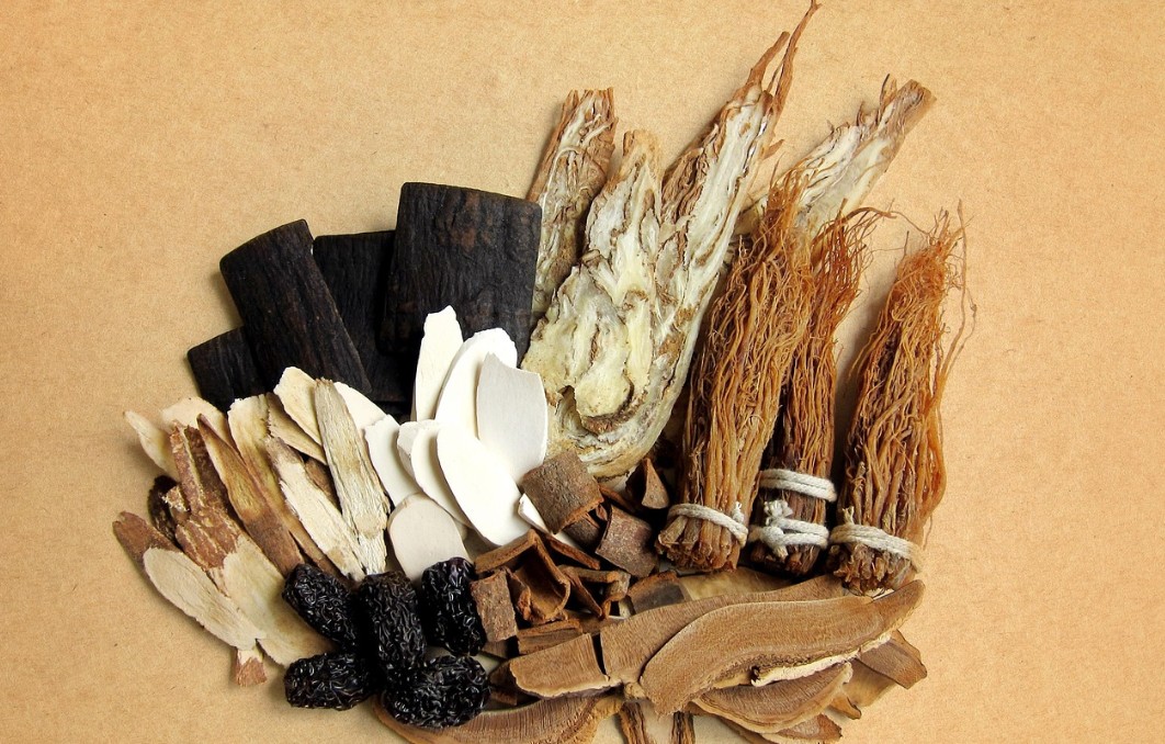 한방에서 쓰이는 다양한 약재