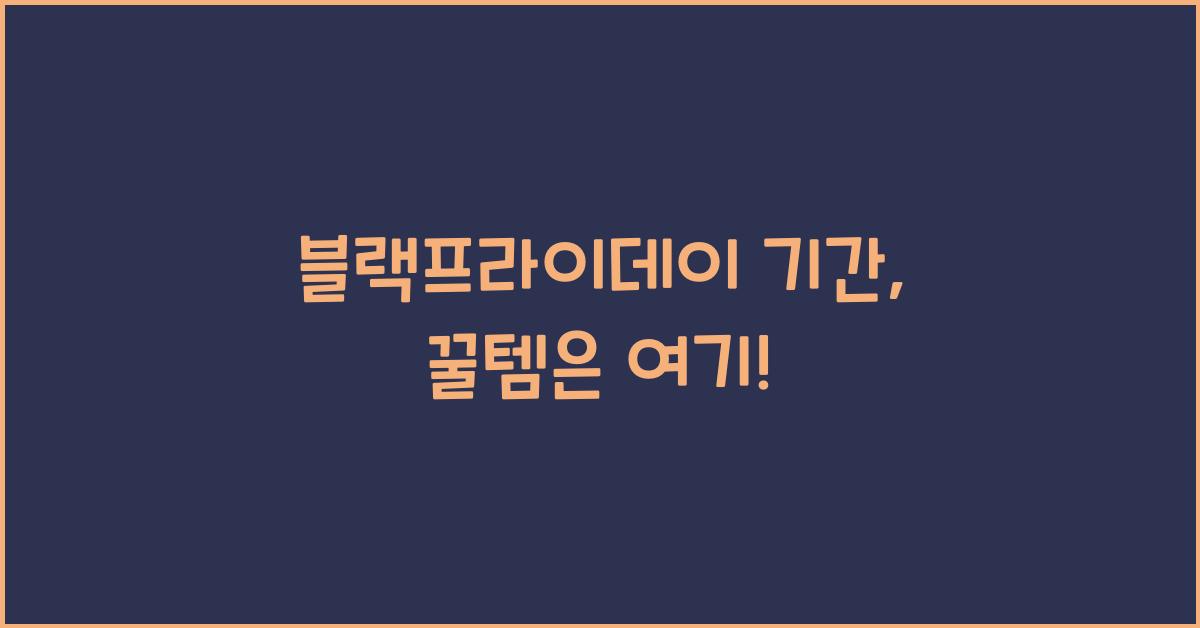 블랙프라이데이 기간