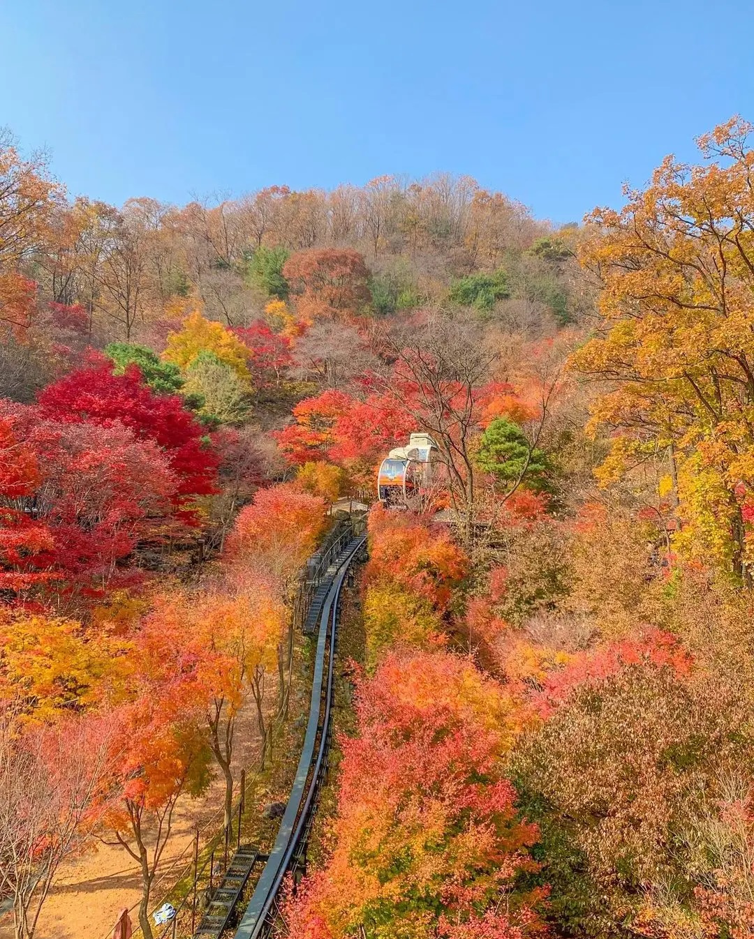 2025 화담숲 모노레일 예매 방법