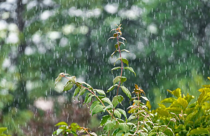 2025년 1호 태풍 우딥