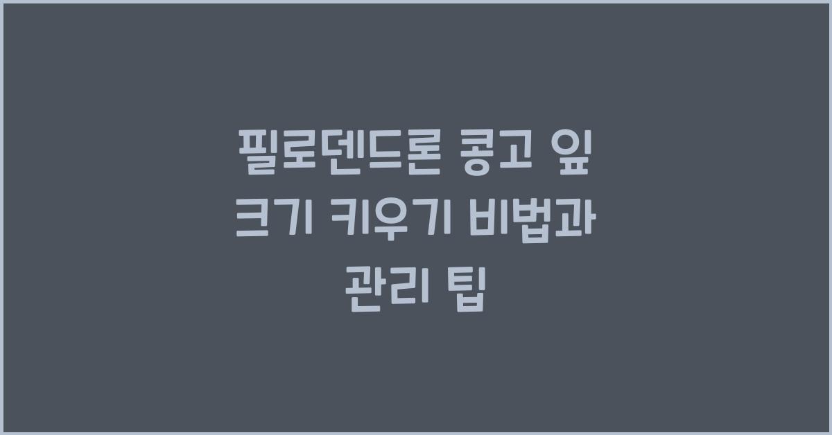 필로덴드론 콩고 잎 크기 키우기