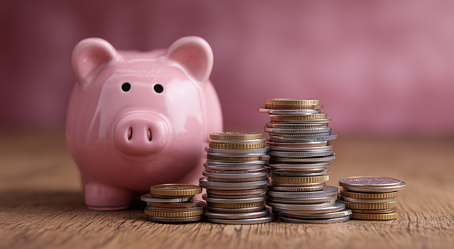 공무원연금, 사학연금, 군인연금과 기초연금 관계