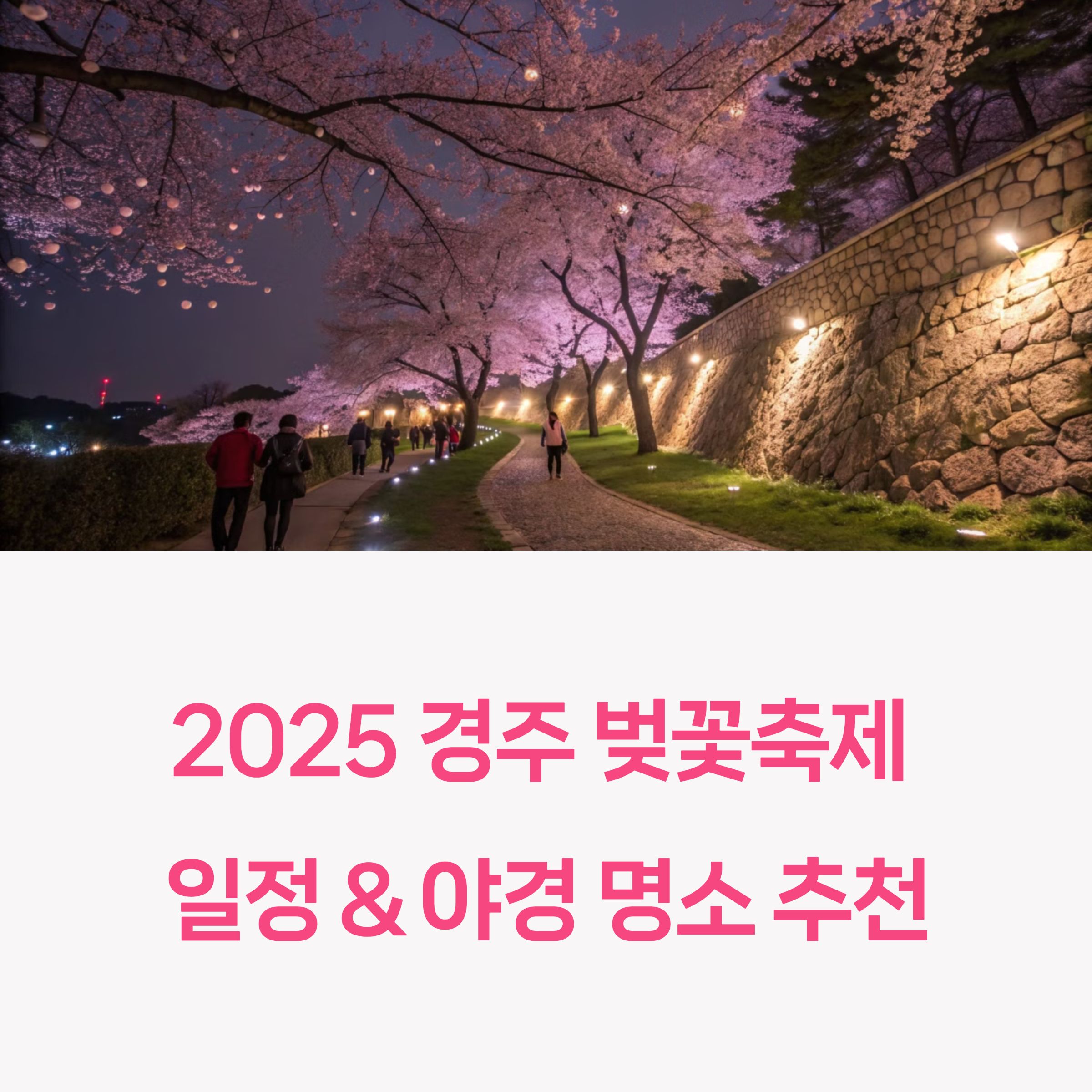 2025 경주 벚꽃축제 일정 &amp; 야경 명소 추천｜대릉원 돌담길, 인생샷 포토존 총정리
