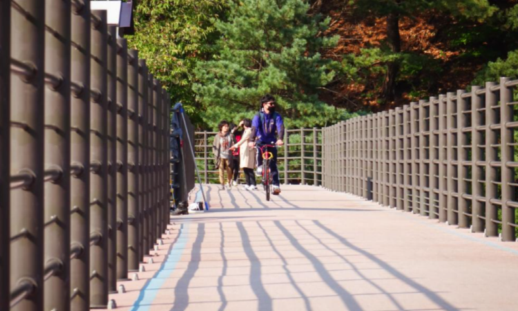 의암호 스카이워크