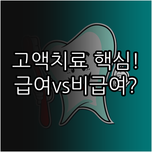 흥국화재 치아보험 스케일링 급여 비급..