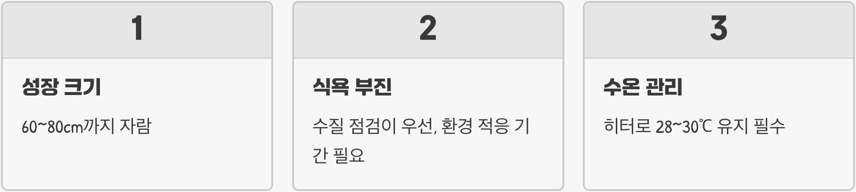 아로와나 키우기 A to Z (어항, 먹이, 수질 관리)
