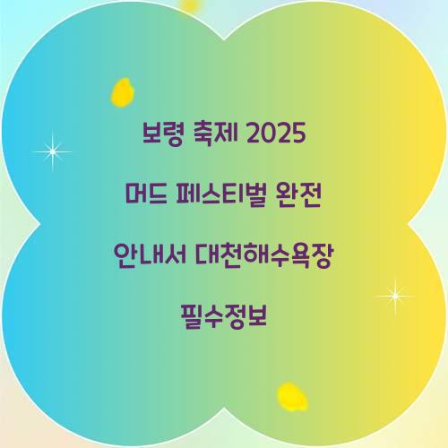 보령 축제 2025 머드 페스티벌