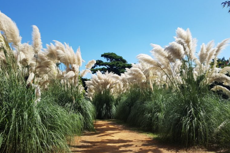 태안 청산수목원