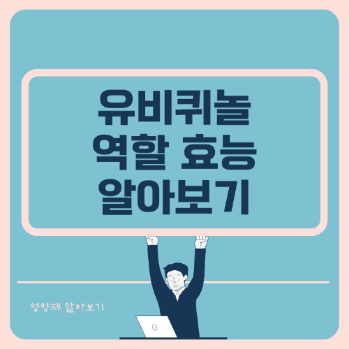 유비퀴놀 (Ubiquinol)의 역할 및 효능, 부작용 알아보기 썸네일