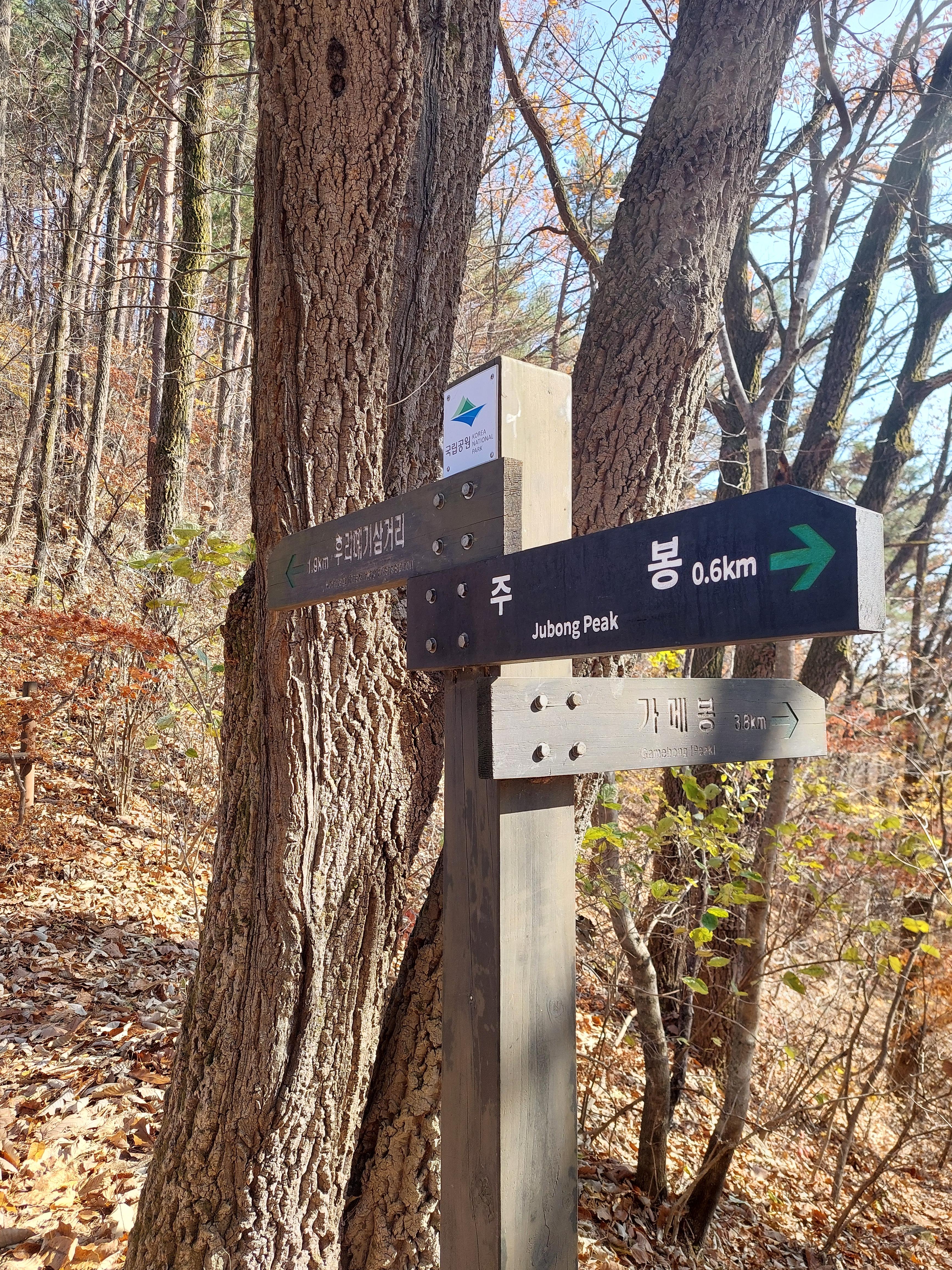주왕산