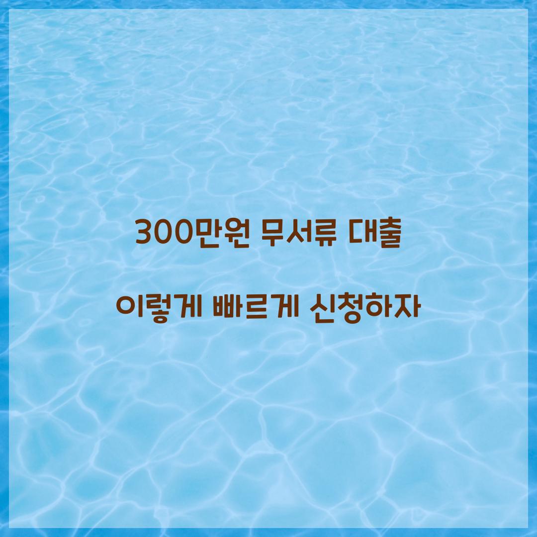 300만원 무서류 대출