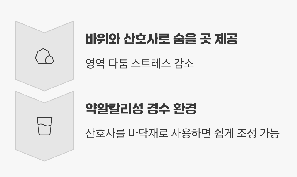 단 하나의 약속, 그들만의 왕국을 만들어주세요