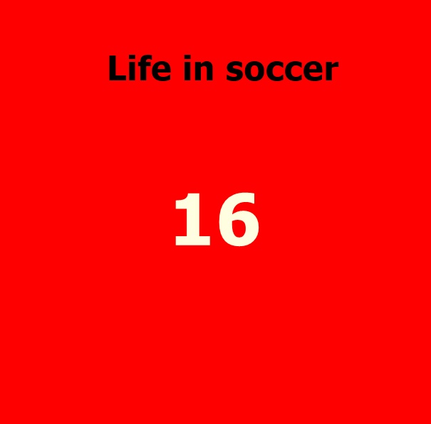 국가대표 기성용