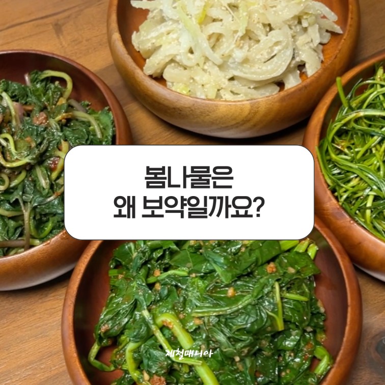 봄나물
