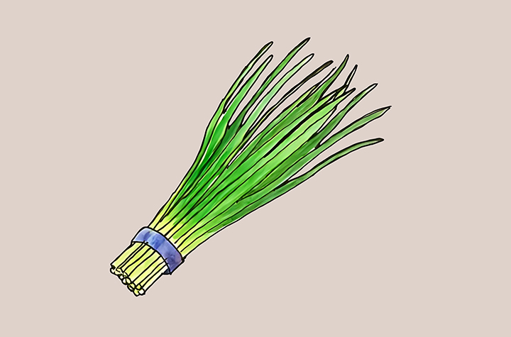 부추-하루-섭취-권장량