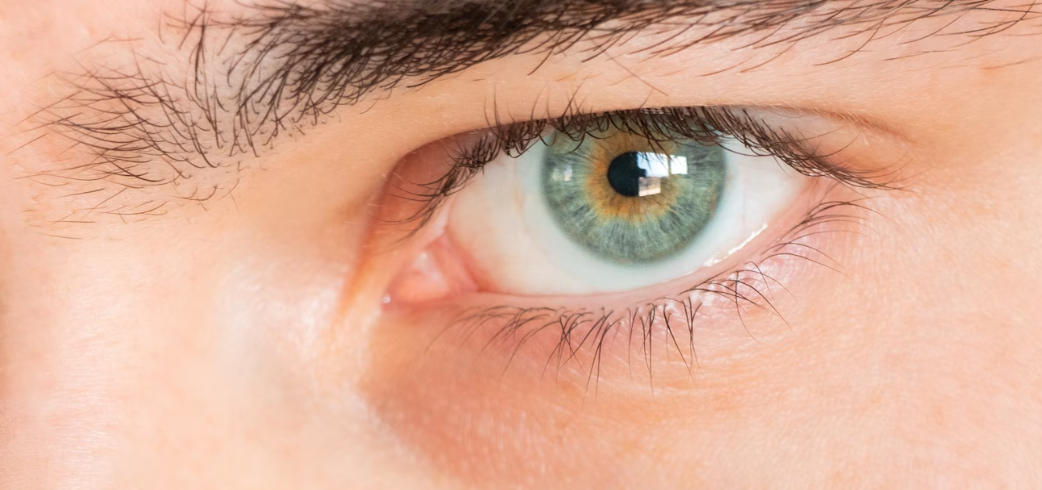 1. 눈에 좋은 영양소 식품이란?