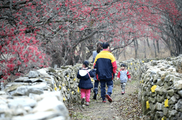 이천 산수유마을