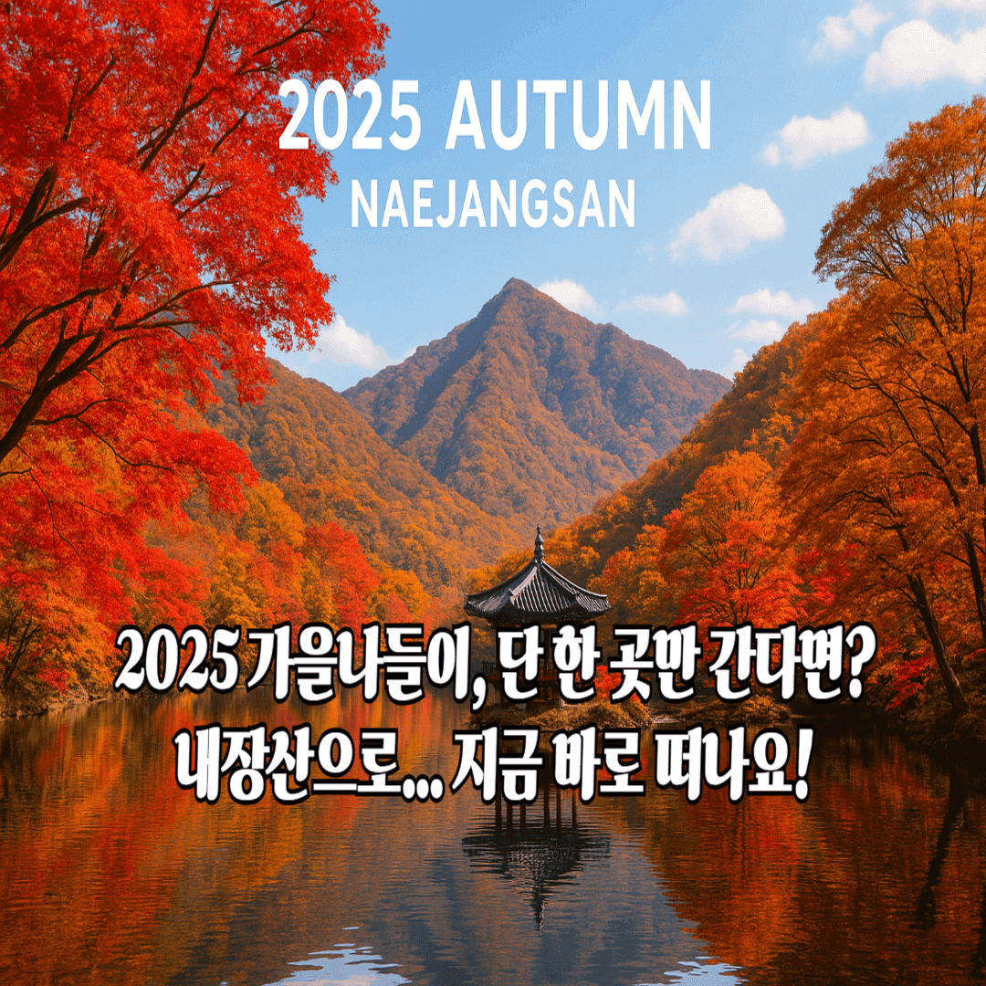 2025 가을나들이, 단 한 곳만 간다면? 내장산으로...