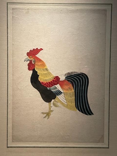 sehwa